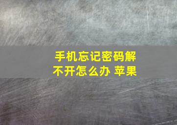 手机忘记密码解不开怎么办 苹果